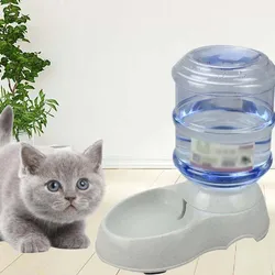 קערות אוכל ושתייה