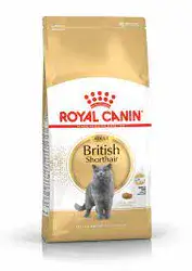 Royal Canin - חתול בוגר בריטי 10 ק״ג.