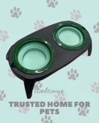 Delux - סטנד קערות ירוק